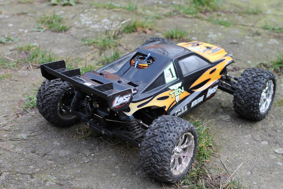 Buggy ten-t LOSI billede 5