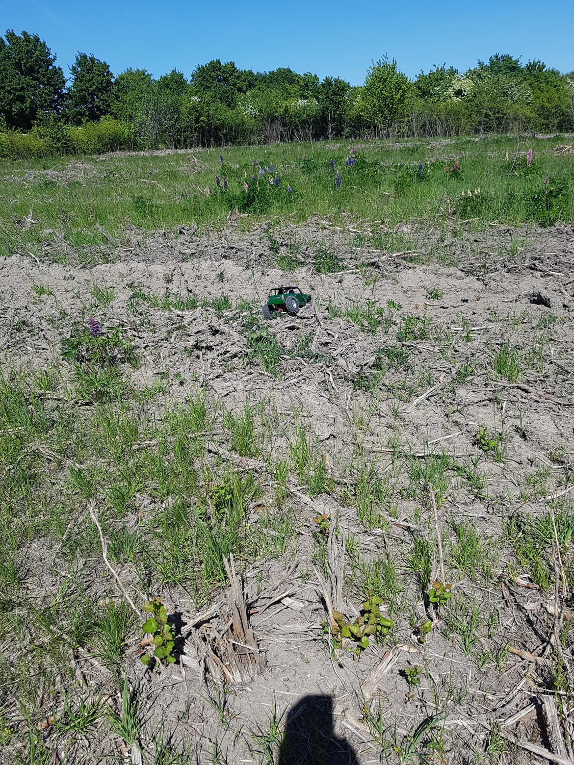 Bil Axial Wraith 1.9 billede 15