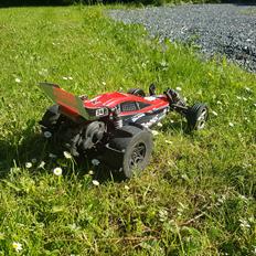 Buggy Traxxas bandit vxl