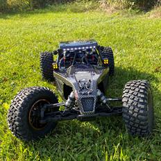 Buggy Losi Lasernut U4 Tenacity