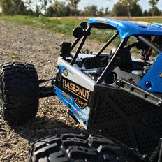 Buggy Losi Lasernut Tenacity U4
