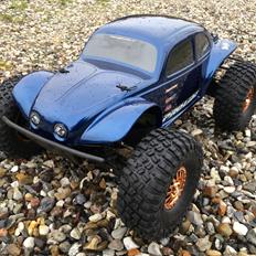 Buggy Losi Ten Baja