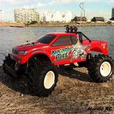 Truck Tamiya WT-01 'Mighty Bull' XB [#57727]