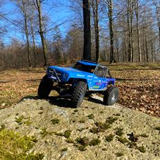 Off-Roader Axial Poison Spyder Wraith (Custom 1.9 Version) 