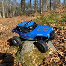 Off-Roader Axial Poison Spyder Wraith (Custom 1.9 Version) 