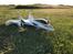 Fly Convergence VTOL - Take off i drone mode