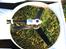 Fly Convergence VTOL - hale motor kun on i drone mode