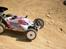 Buggy Xray XB8 20'