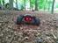 Off-Roader Arrma Kraton BLX 6s - v4