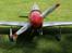 Fly TWM Mustang P51D