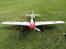 Fly TWM Mustang P51D