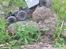 Bil Axial Umg10 6X6