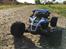 Buggy Losi Lasernut Tenacity U4