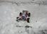 Buggy Rovan 5B - 04-02-2021