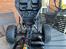 Buggy LOSI LASERNUT U4