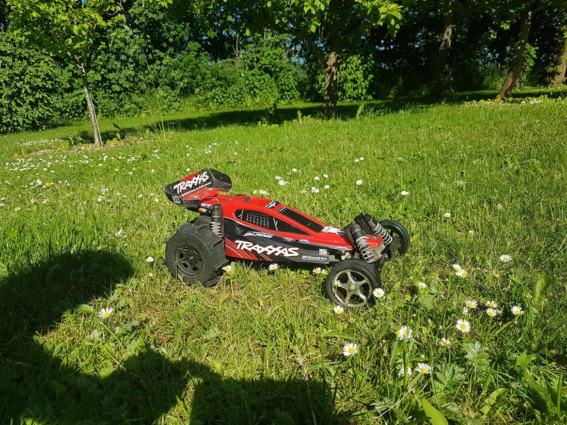 Buggy Traxxas bandit vxl billede 1