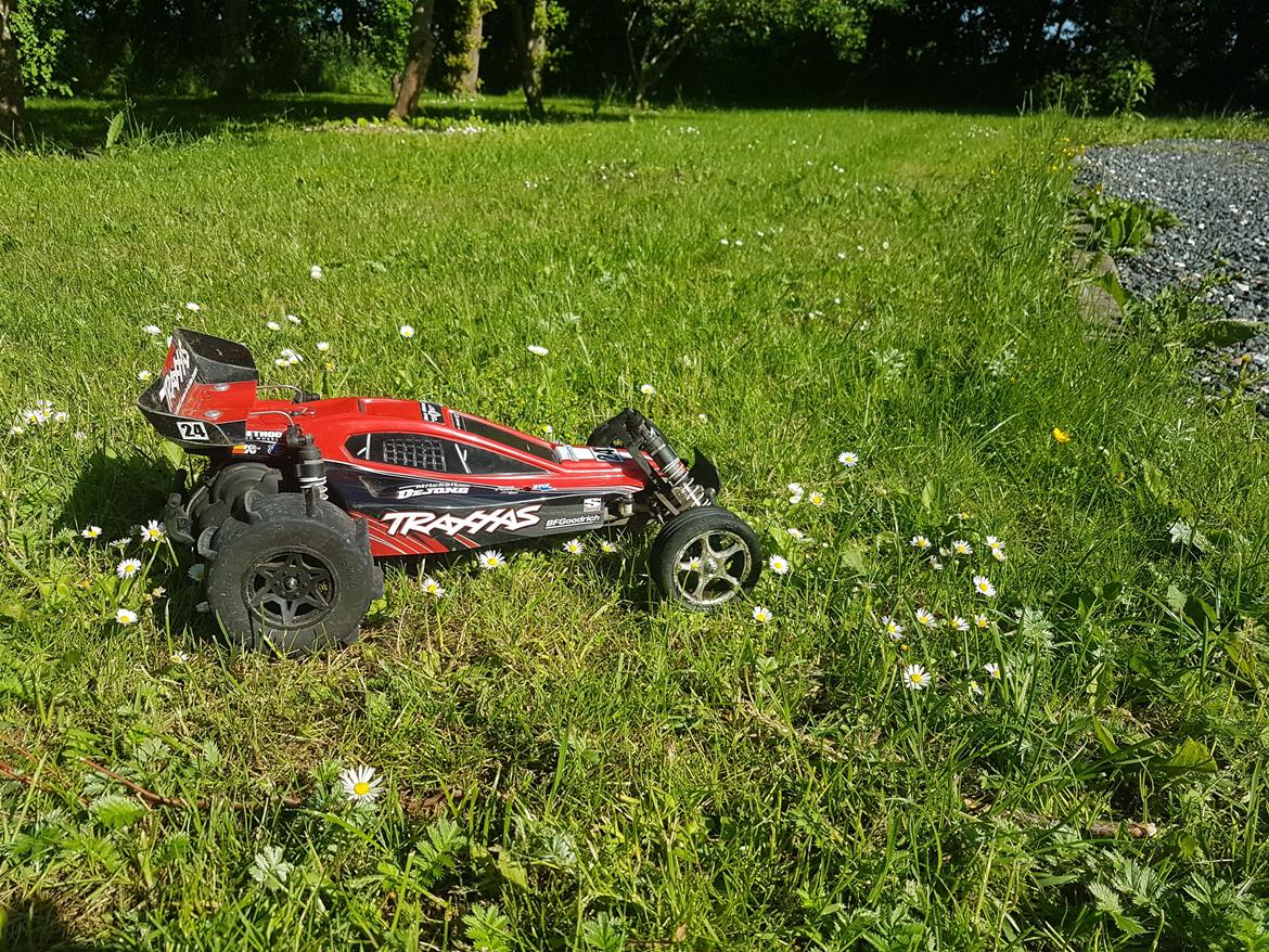 Buggy Traxxas bandit vxl billede 2