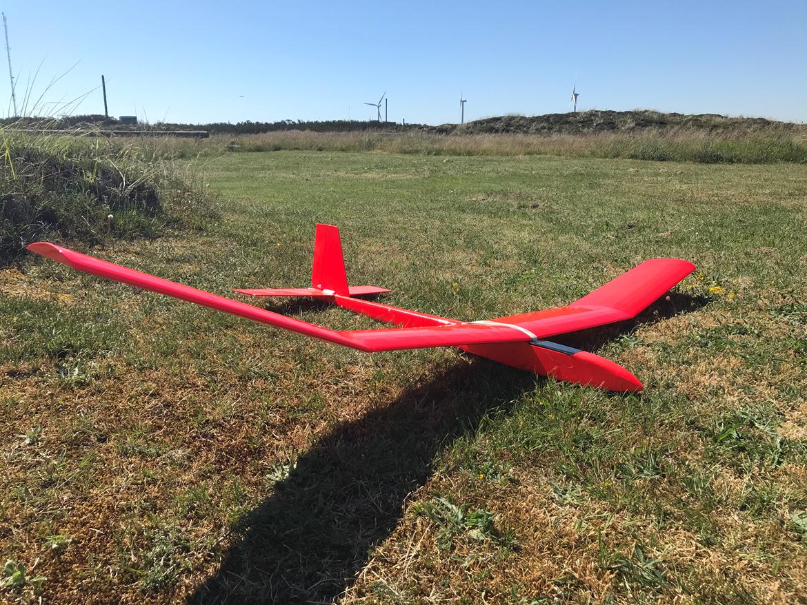 Fly Blue Phoenix glider billede 3