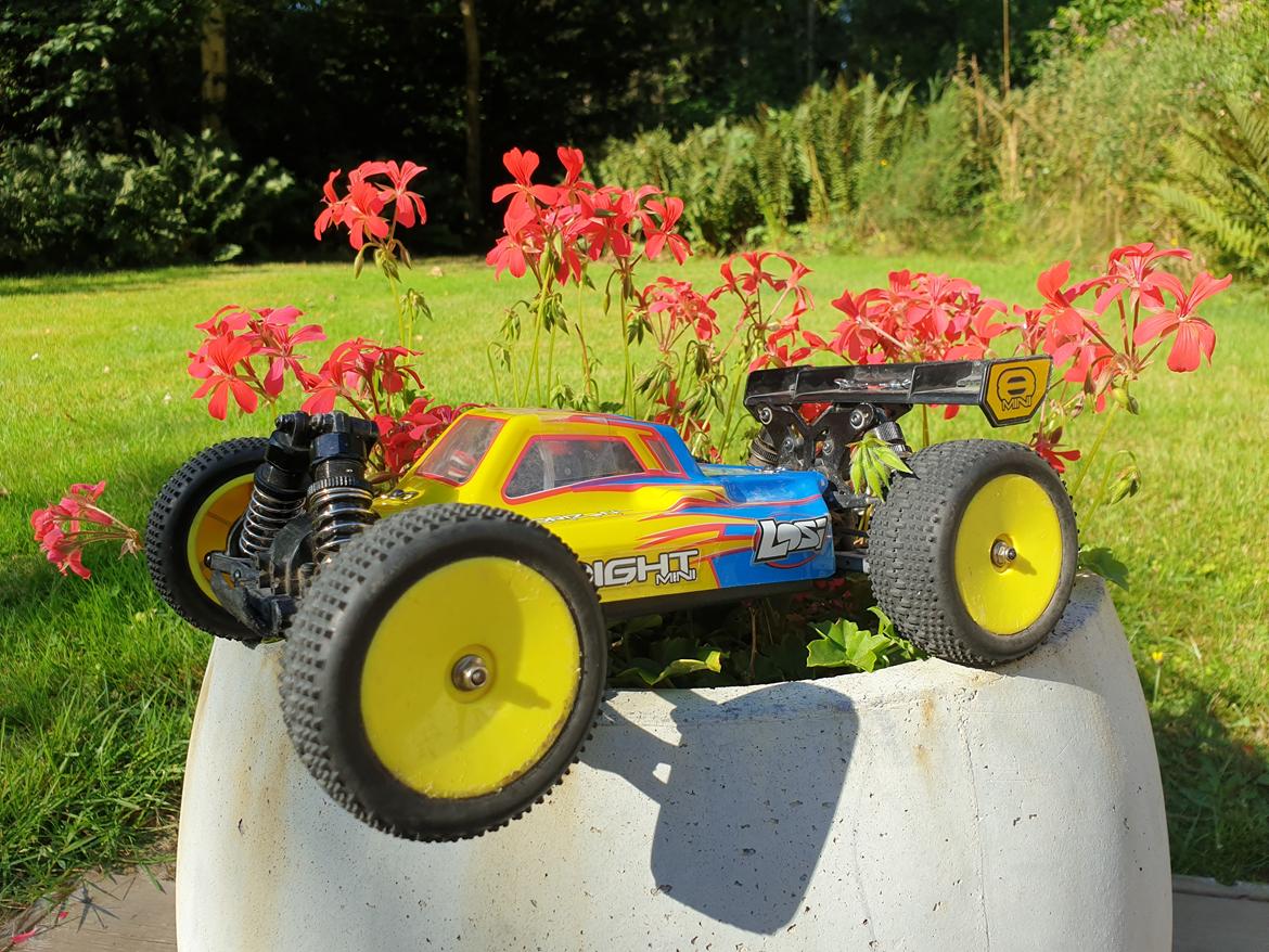 Buggy Losi Mini 8IGHT billede 2