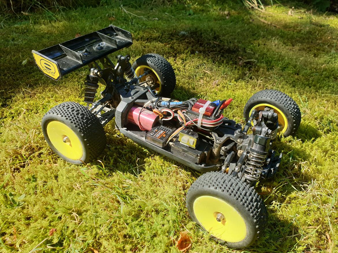 Buggy Losi Mini 8IGHT billede 6