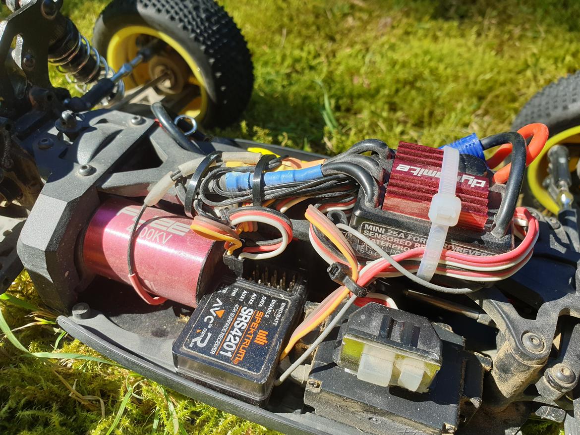 Buggy Losi Mini 8IGHT billede 8