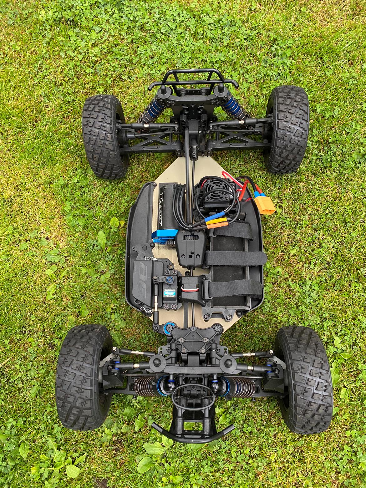 Buggy Nomad DB8 Team Associated billede 7