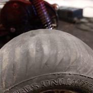 Buggy Tamiya - The Hornet