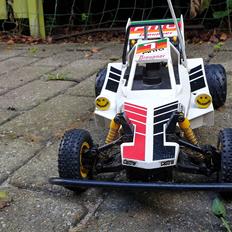 Buggy Graupner Pinto