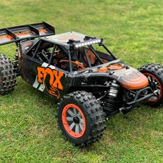 Buggy Losi DBXL-E 2.0 Fox