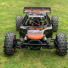 Buggy Losi DBXL-E 2.0 Fox