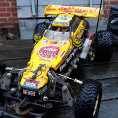 Buggy Tamiya The Frog (58041)