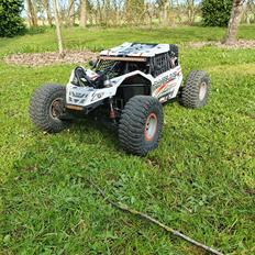 Buggy Losi super rock rey 1/6