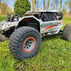 Buggy Losi super rock rey 1/6