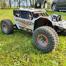 Buggy Losi super rock rey 1/6