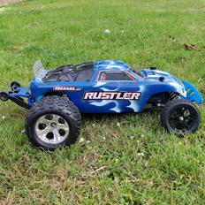 Buggy Rustler