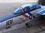 Fly freewing F 14 