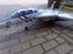 Fly freewing F 14 