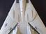 Fly freewing F 14 