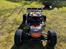 Buggy Losi DBXL-E 2.0 Fox