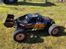 Buggy Losi DBXL-E 2.0 Fox