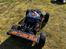Buggy Losi DBXL-E 2.0 Fox