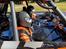 Buggy Losi DBXL-E 2.0 Fox