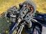 Buggy Losi DBXL-E 2.0 Fox
