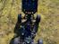 Buggy Losi DBXL-E 2.0 Fox