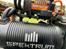 Buggy Losi DBXL-E 2.0 Fox