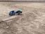 Buggy Tamiya Holiday Buggy (58023)