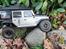 Off-Roader axial scx10 Jeep wrangler rubicon *Solgt*