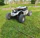 Buggy Losi super rock rey 1/6