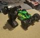Buggy Bonzai 141600 Jubatus