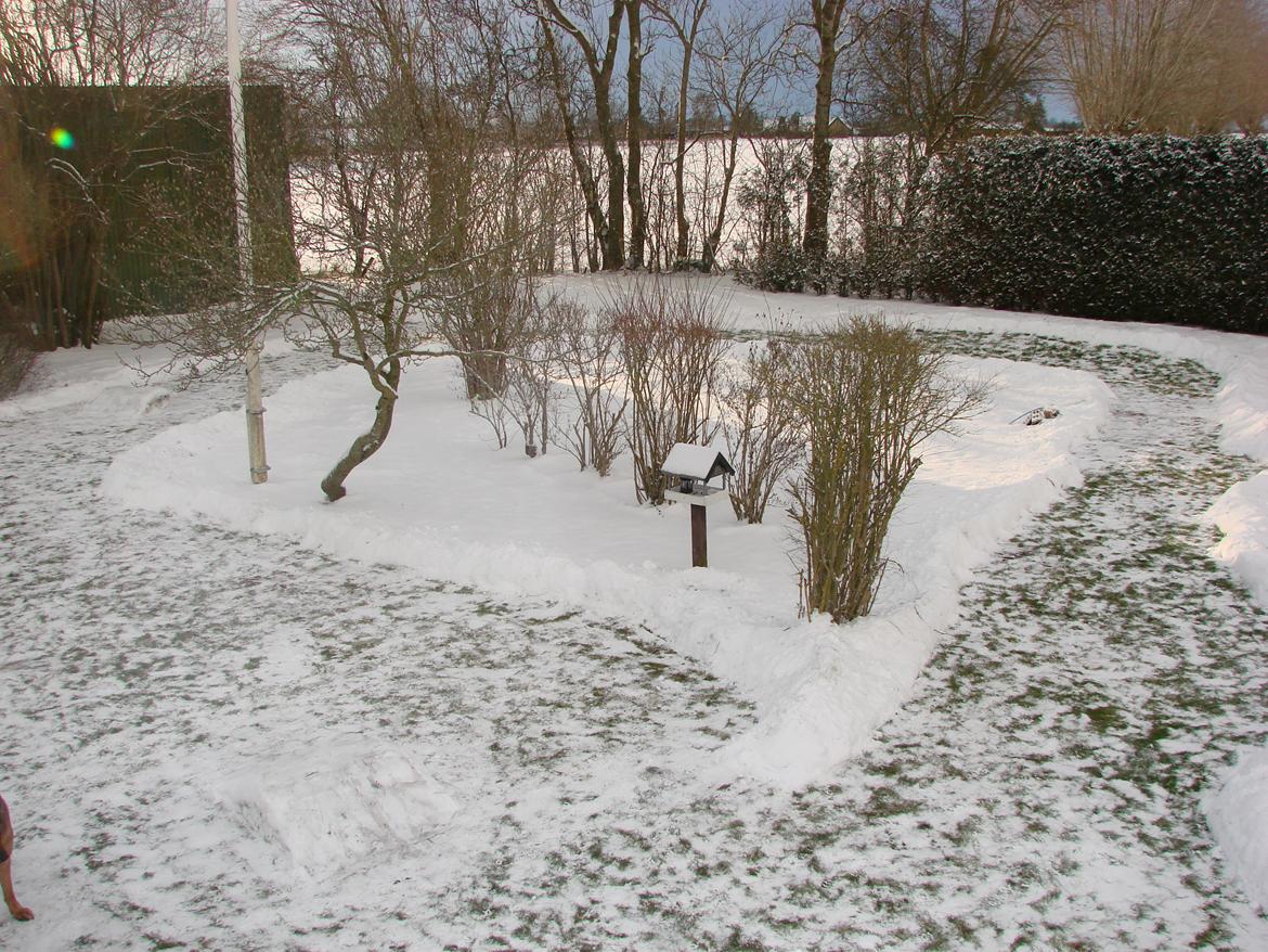 Off-Roader Arrma Kraton BLX 6s - v4 billede 18